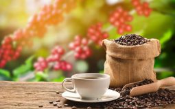 Zestaw kaw – doskonały pomysł na prezent